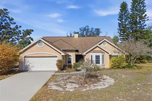 10225 Evening Trail Dr, Riverview, FL 33569 - Photo 1