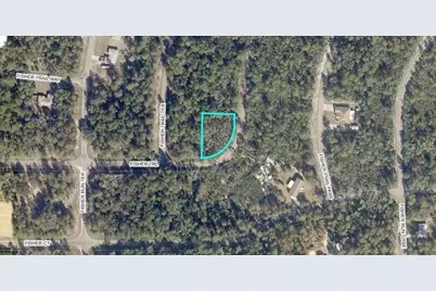 Tbd Fisher Trail, Ocklawaha, FL 32179 - Photo 1