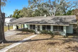 313 S Rossiter St, Mount Dora, FL 32757 - Photo 1