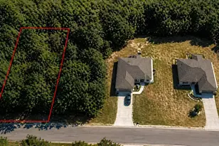 10241 N Halsey Way, Dunnellon, FL 34434 - Photo 1