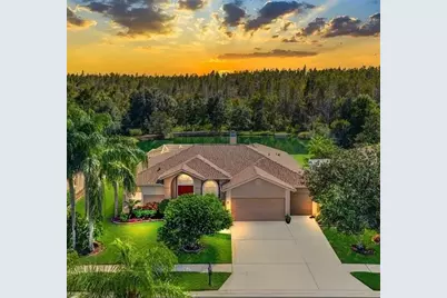 18408 Bittern Avenue, Lutz, FL 33558 - Photo 1