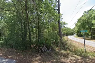 6634 W Grant St, Homosassa, FL 34448 - Photo 1