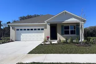 5301 Greenheart Ave, Mount Dora, FL 32757 - Photo 1