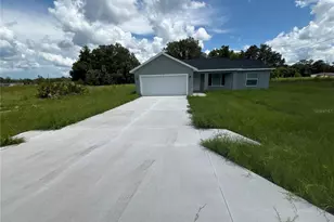9 Malauka Loop Ln, Ocklawaha, FL 32179 - Photo 1