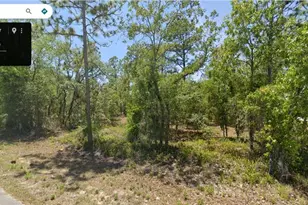 Shamrock Ave NW, Dunnellon, FL 34431 - Photo 1