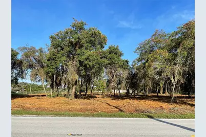 3524 Hickory Tree Road, Saint Cloud, FL 34772 - Photo 1