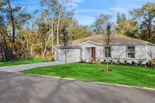 13075 Tinamou Ave, Brooksville, FL 34614 - Photo 1