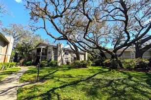 14211 Shadow Moss Ln, Tampa, FL 33613 - Photo 1