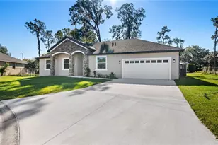 703 Fox Gate Ct, Plant City, FL 33563 - Photo 1
