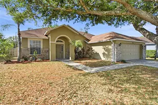 11906 Timberhill Dr, Riverview, FL 33569 - Photo 1