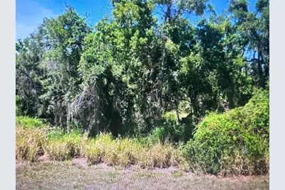 105 Jamison Avenue, Lake Placid, FL 33852 - Photo 1