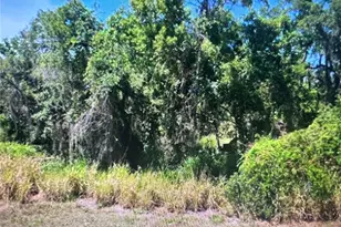 105 Jamison Ave, Lake Placid, FL 33852 - Photo 1