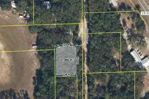 181 Pine Dr, Interlachen, FL 32148 - Photo 1