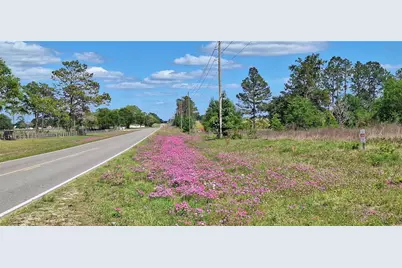 Se 60th Street, Morriston, FL 32668 - Photo 1
