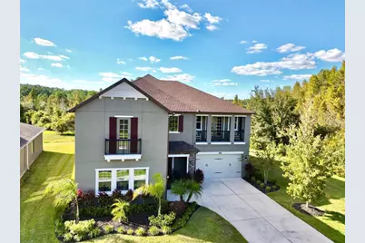 1879 Whitewillow Drive, Wesley Chapel, FL 33543 - Photo 1