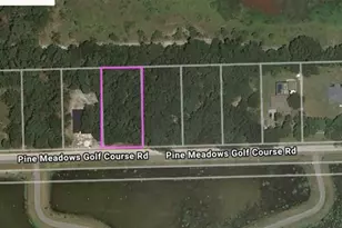 Pine Meadows Rd, Eustis, FL 32726 - Photo 1