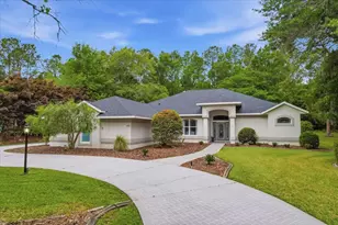8610 SW 196th Avenue Rd, Dunnellon, FL 34432 - Photo 1