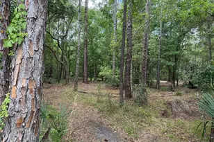 552 Buckshot Ave, Osteen, FL 32764 - Photo 1