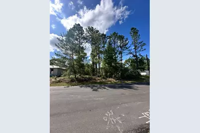 3125 W Fairbank Drive, Citrus Springs, FL 34433 - Photo 1