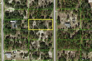 SW Evergreen Ct, Dunnellon, FL 34431 - Photo 1