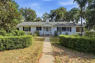 2101 Palmetto Rd, Mount Dora, FL 32757 - Photo 1