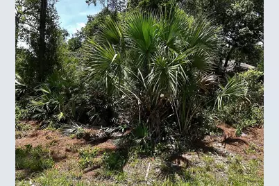 Van Eck Road, North Port, FL 34291 - Photo 1