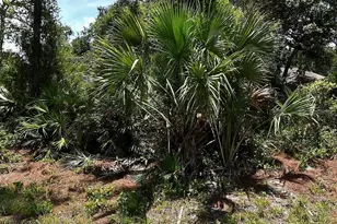 Van Eck Rd, North Port, FL 34291 - Photo 1