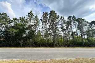00 Sodbury St, Orlando, FL 32833 - Photo 1