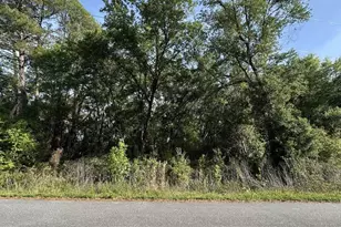 0 Oak Ln Way, Ocala, FL 34472 - Photo 1