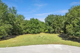18353 Great Blue Heron Dr, Groveland, FL 34736 - Photo 1