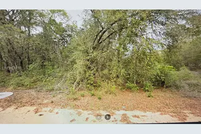 00 Elizabeth Ci, Interlachen, FL 32148 - Photo 1
