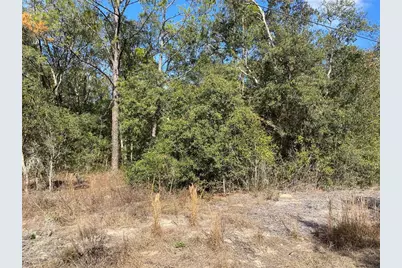 21523 SW Beach Boulevard, Dunnellon, FL 34431 - Photo 1
