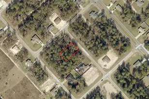 Pine Way Ct, Ocala, FL 34472 - Photo 1