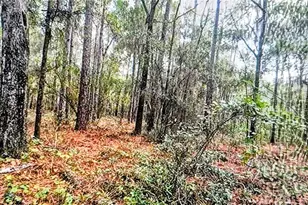 2871 W Sunkist Ln, Dunnellon, FL 34433 - Photo 1