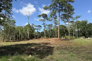 1005 Juniper Dr, Christmas, FL 32709 - Photo 1