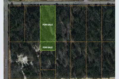Sw Sea Cliff Ave, Dunnellon, FL 34431 - Photo 1