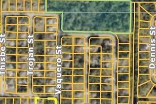 Na Shrimp Ln, North Port, FL 34286 - Photo 1
