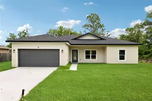 13 Malauka Radial Dr, Ocklawaha, FL 32179 - Photo 1