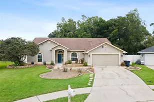 26203 Corkwood Ct, Land O Lakes, FL 34639 - Photo 1