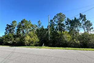 20345 Quinn St, Orlando, FL 32833 - Photo 1