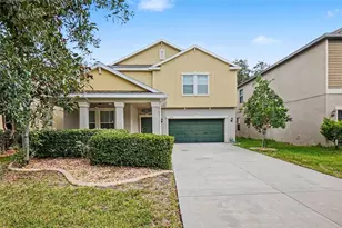 14218 Blue Dasher Dr, Riverview, FL 33569 - Photo 1