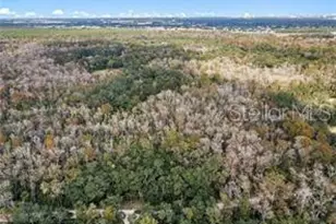 8245 Keefer Trail, Kissimmee, FL 34747 - Photo 1