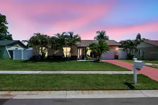 6317 Frost Dr, Tampa, FL 33625 - Photo 1