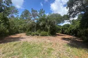 0 North Circle E, Paisley, FL 32767 - Photo 1
