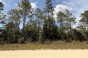 Undetermined, Dunnellon, FL 34432 - Photo 1