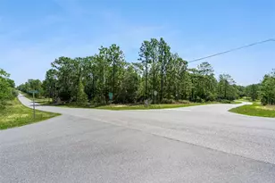 4181 W Malaluka Cir, Citrus Springs, FL 34433 - Photo 1