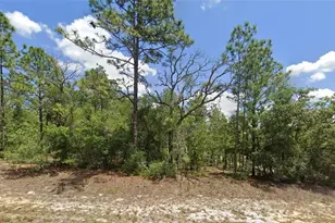 9857 N Lathyrus Terrace, Dunnellon, FL 34433 - Photo 1