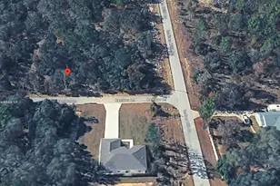 1056 Bamboo Ln, Dunnellon, FL 34431 - Photo 1