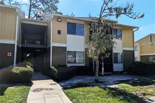 13401 Arbor Pointe Cir, Tampa, FL 33617 - Photo 1