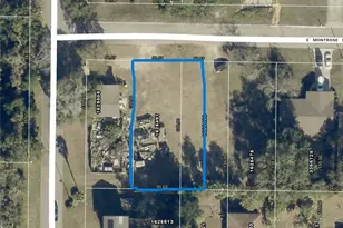 Lot 35 & 34 1/2 E Montrose St, Clermont, FL 34711 - Photo 1